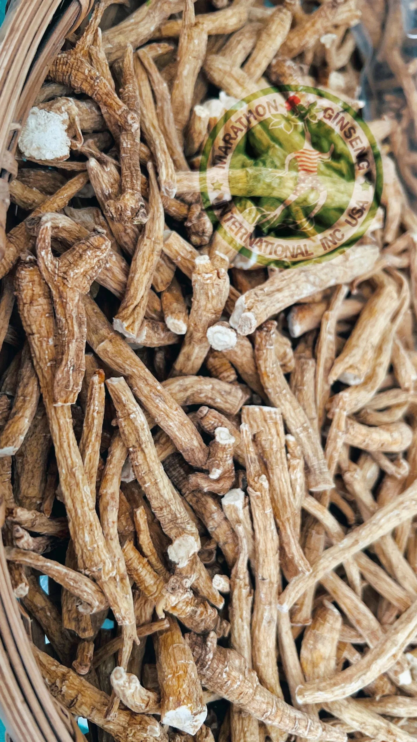 2023년 시즌 재고정리 - 5파운드 5년 프롱에 $400 - 미국 내 배송만 가능