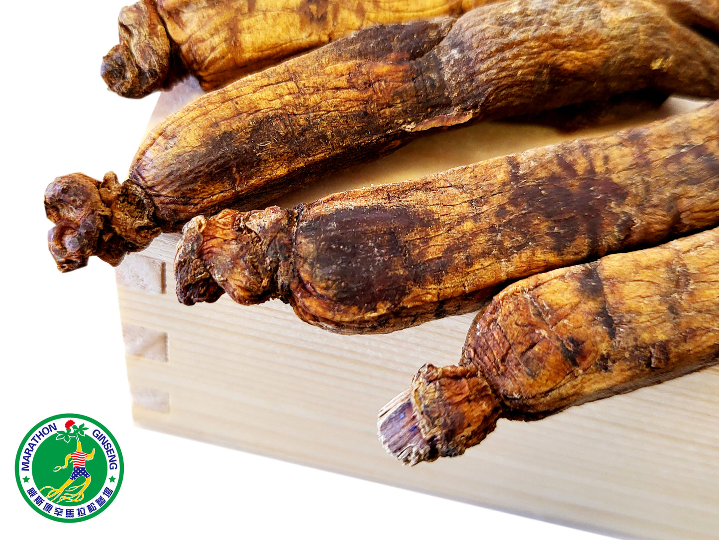 C800 - 600g - Chinese Red Ginseng - SHIH CHU Ginseng