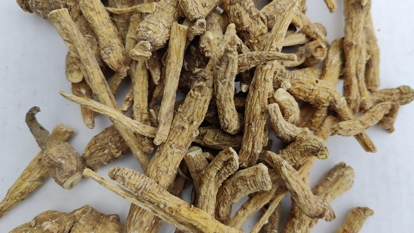 Seasonal Clearance 5 lb 4 year Ginseng Root