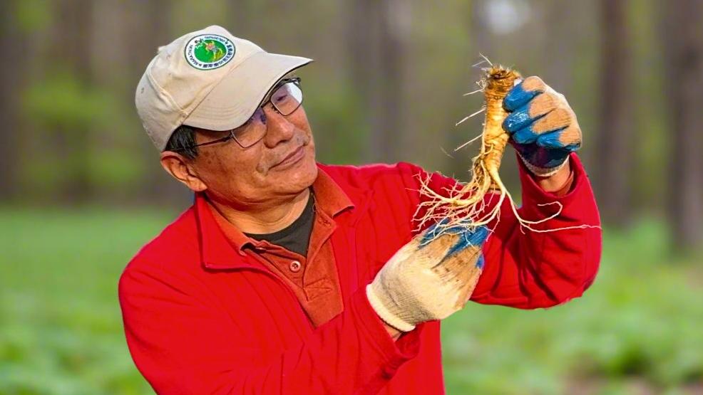 V998 - New Crop! 7 Yr Cultivated Ginseng Gift Box