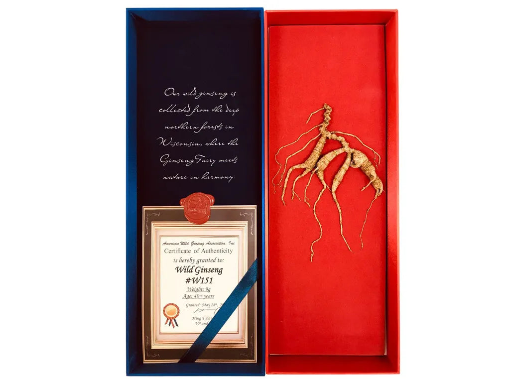W151 - 40 Yr Wisconsin Wild Ginseng