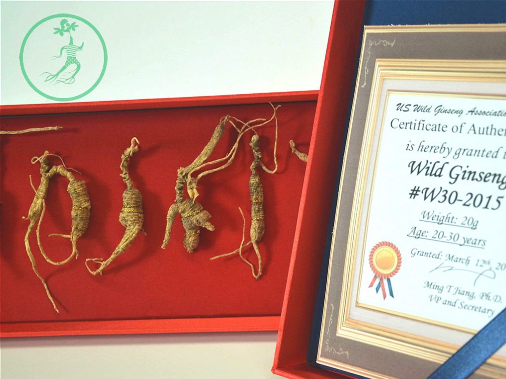 W30CN - 20-30 Yr Wild Ginseng - Delivery in China