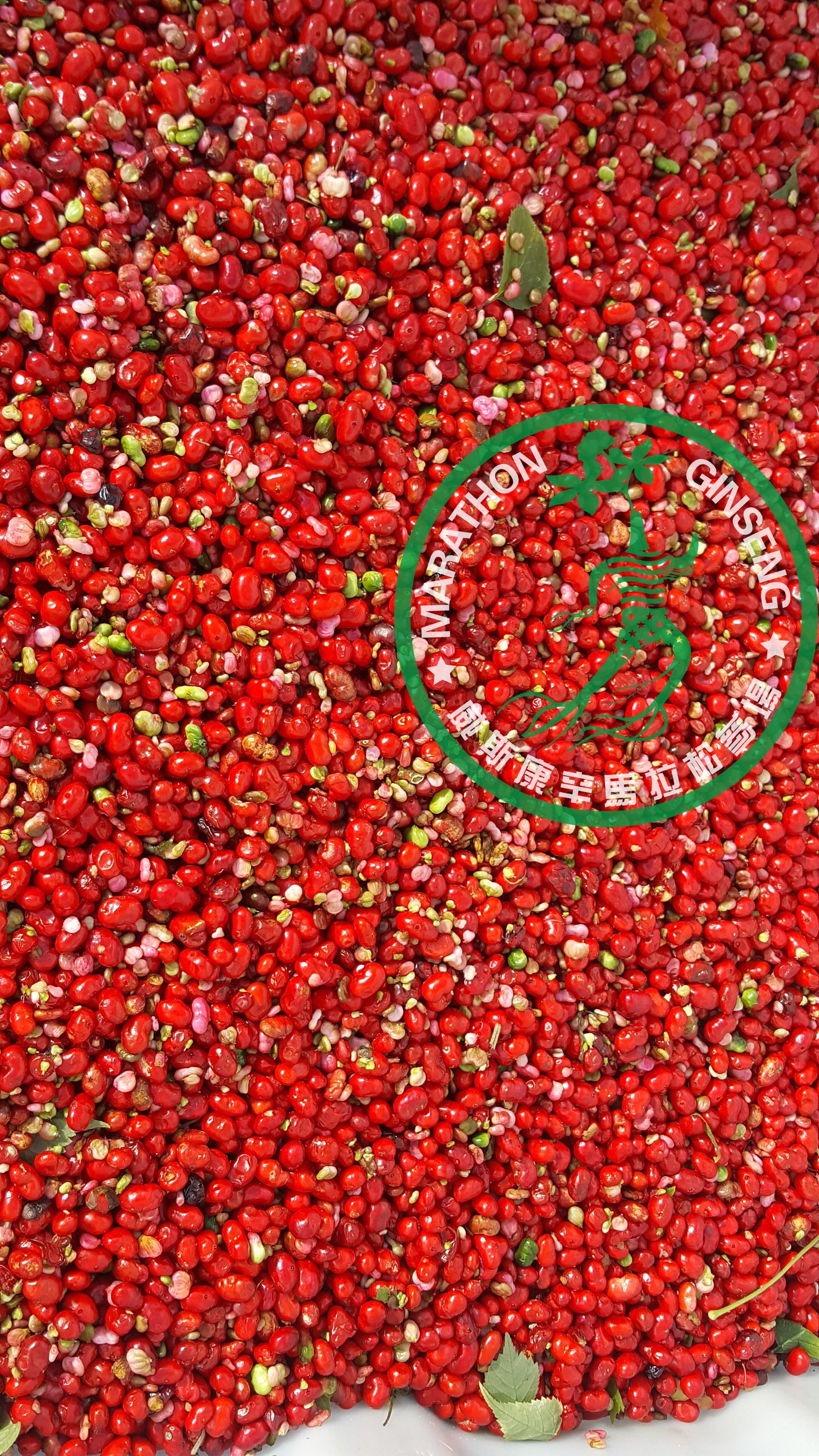 501 - "Out of Stock" Seeds for Fall 2025!