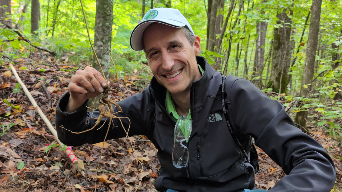 James Mclintick, dug a wild root in northern Wisconsin in 2024 in 1784.  He is a descendant of the 1st  US financier  Robert Morris and sponsor of the Empress of China, the merchant ship carrying ginseng to China, 