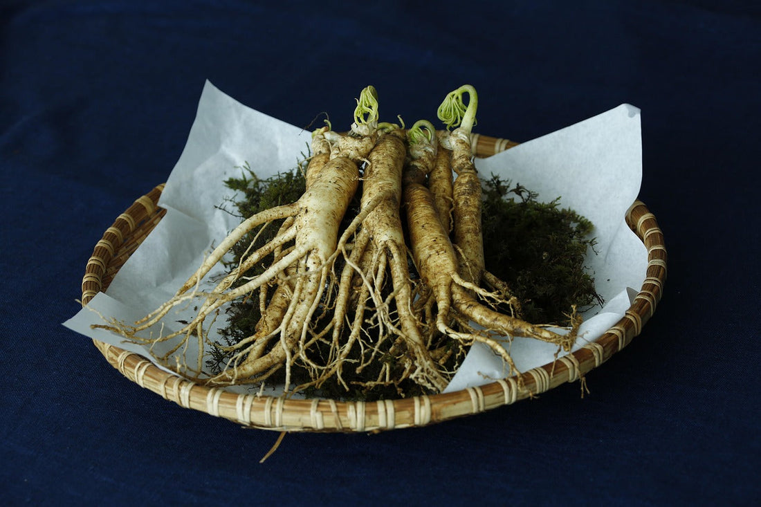 From Seed to Root: The Art and Science of Cultivating 5-Year Ginseng