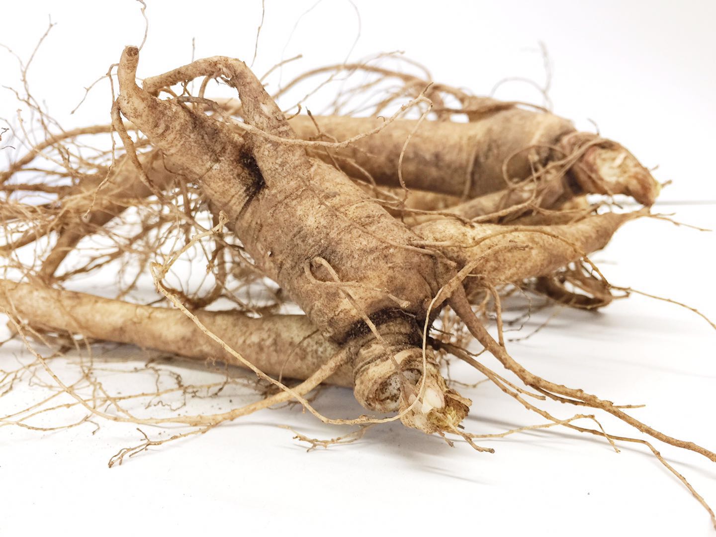 Fresh Ginseng Root