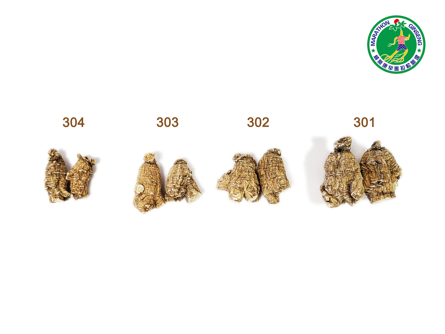 300s - 3년 부처시리즈 재배인삼뿌리 - 100g