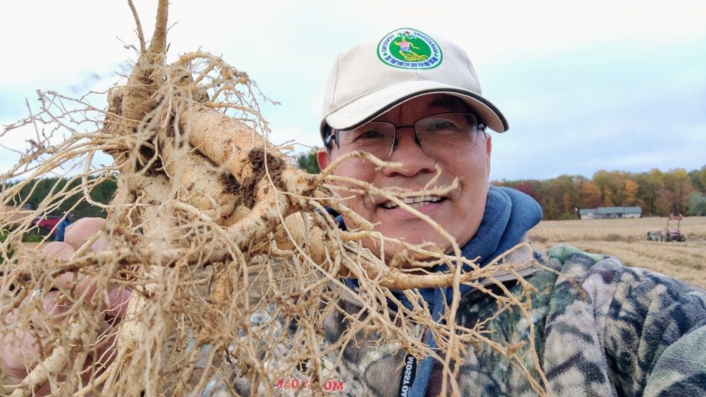888CA – 5 年鹰爪种植参 – 0.5 磅 – 加拿大发货