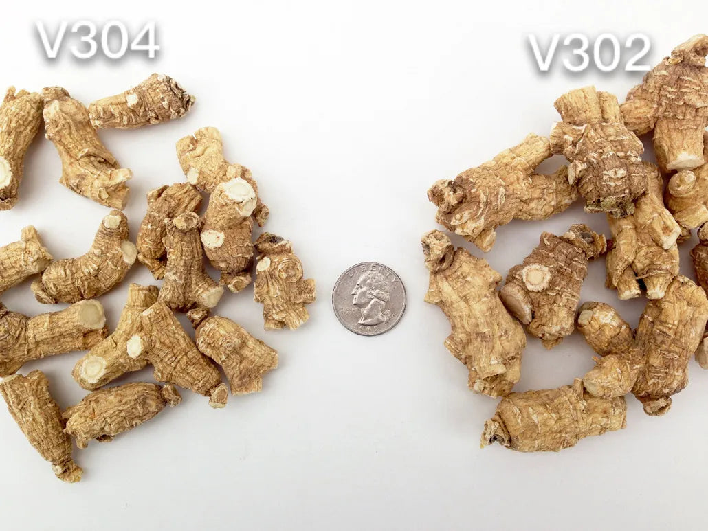V300s - 5 Yr Premium Buddha Cultivated Ginseng Roots