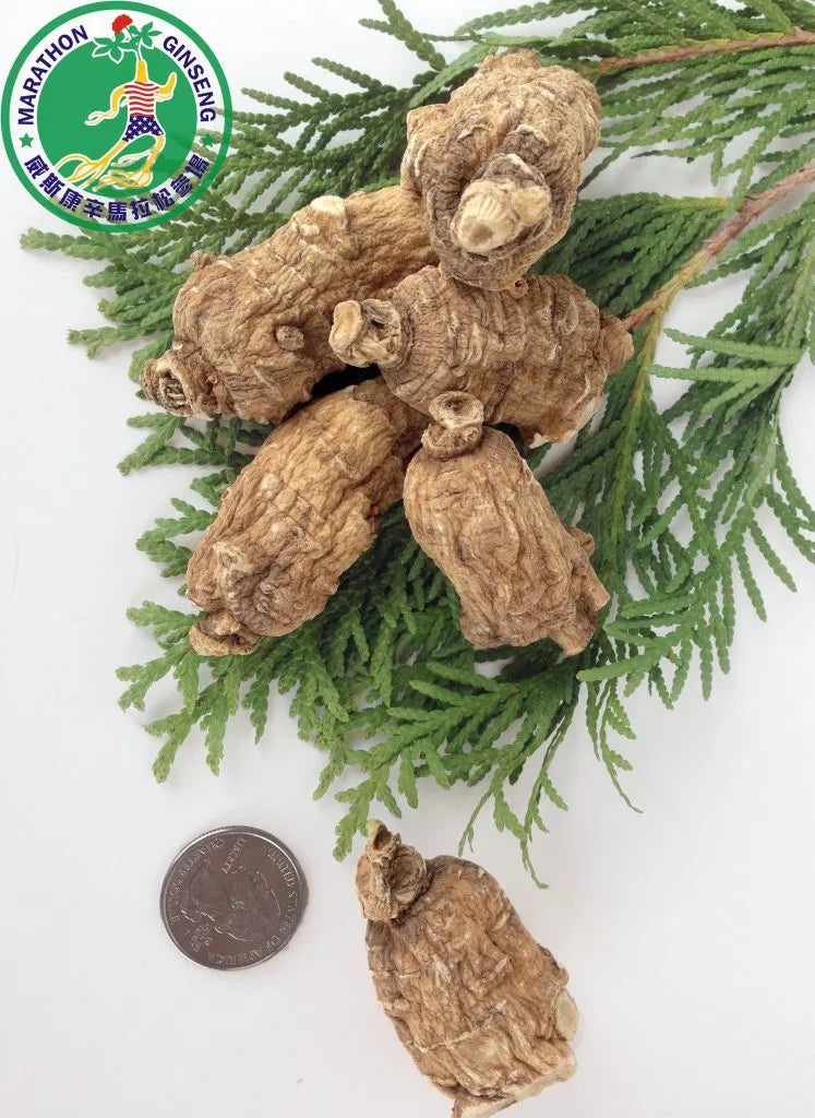 V300 - 5 Yr Buddha King Cultivated Ginseng Roots - 100g